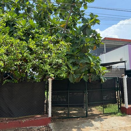 The Lazy Palm Shack Hotell Coimbatore Eksteriør bilde